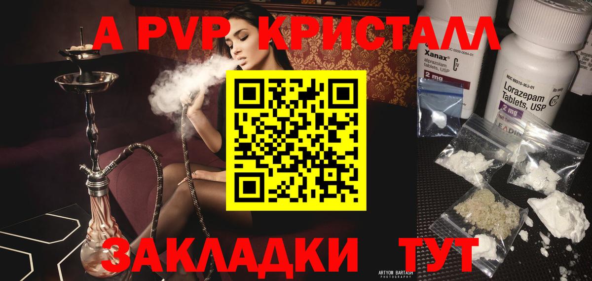 Альфа ПВП СК Моздок