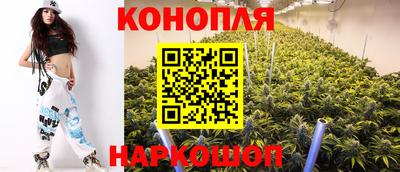 стафф Шебекино