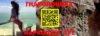 стафф Шебекино