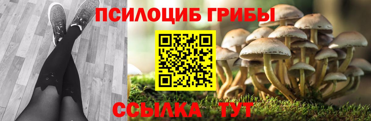 Галлюциногенные грибы мицелий  купить   Моздок  Вход с VPN  Псилоцибиновые грибы мицелий 